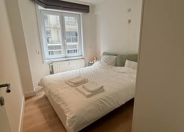 Apartamento La Brise Et La Mer- Frontaal Zeezicht! Ostend